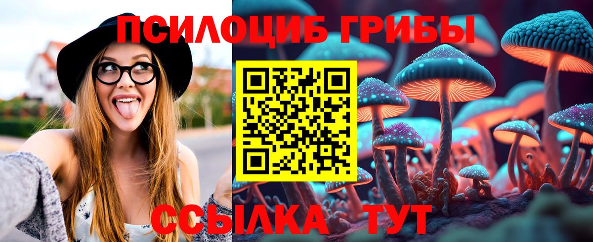 Канаш  Галлюциногенные грибы мицелий  Вход с VPN  Псилоцибиновые грибы MAGIC MUSHROOMS 