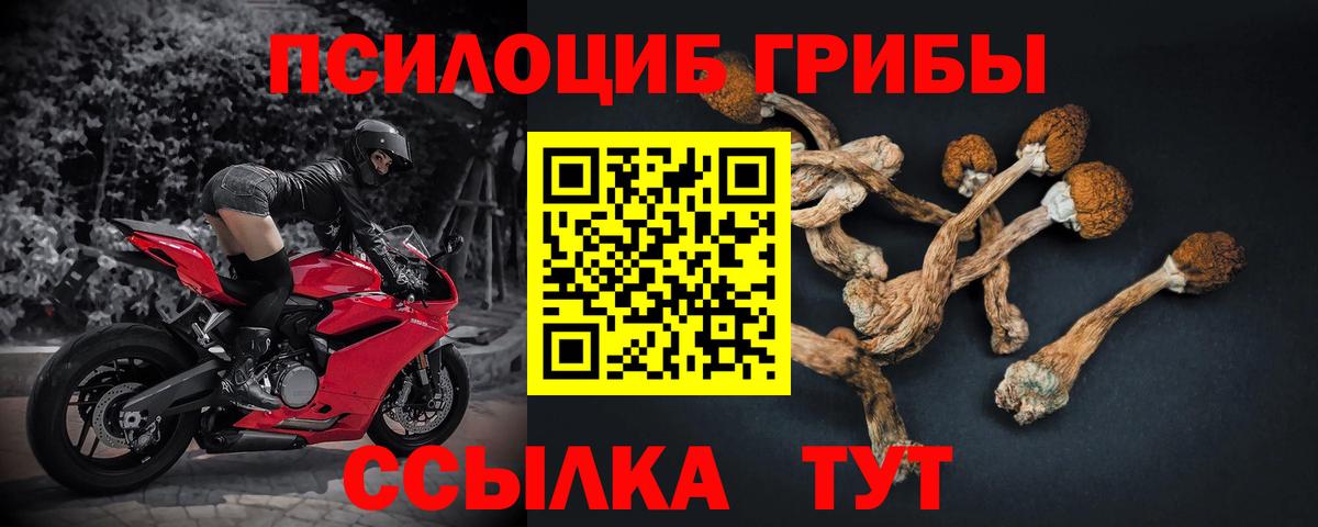 ГАШ  КОКАИН  Кодеин  Вход с VPN  МЕФ кристаллы  ГАШИШ  Конопля  Канаш  ЭКСТАЗИ 